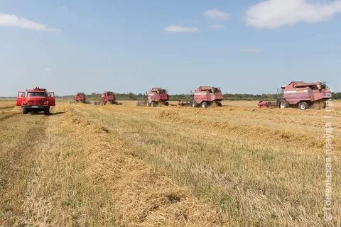 Хутор агро
