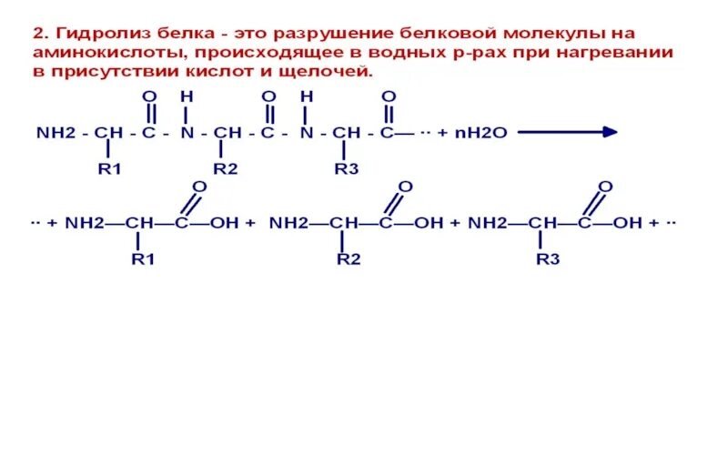 Щелочной гидролиз белков. Гидролиз белков схема. Реакция щелочного гидролиза трипептида. Схема реакции гидролиза белка. Схема гидролиза трипептида.