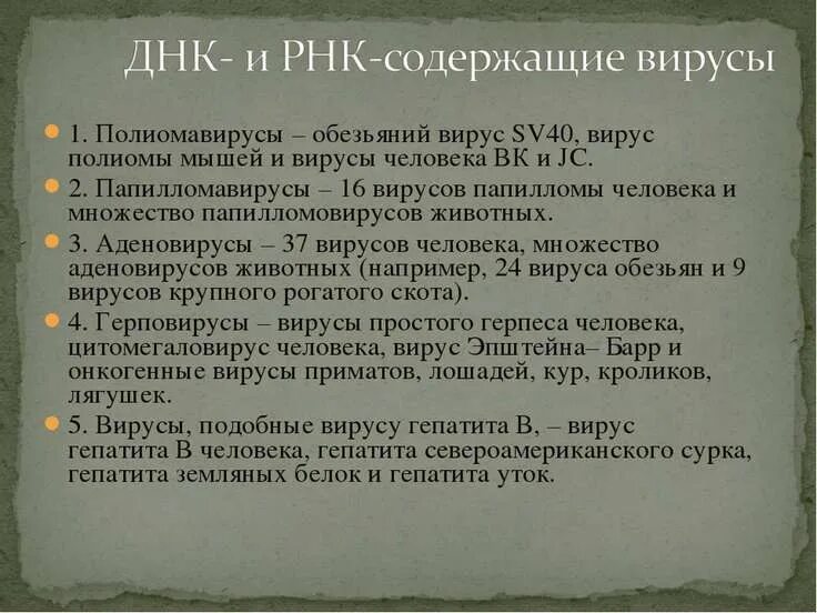 К рнк вирусам относятся вирусы. Вирусы ДНК содержащие и РНК содержащие. РНК содержащие вирусы. ДНК И РНК содержащие вирусы примеры. ДНК содержащие вирусы примеры.