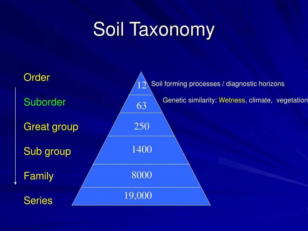 USDA Soil taxonomy. Soil-forming. Chinese Soil taxonomy. Таксономия ЕС.