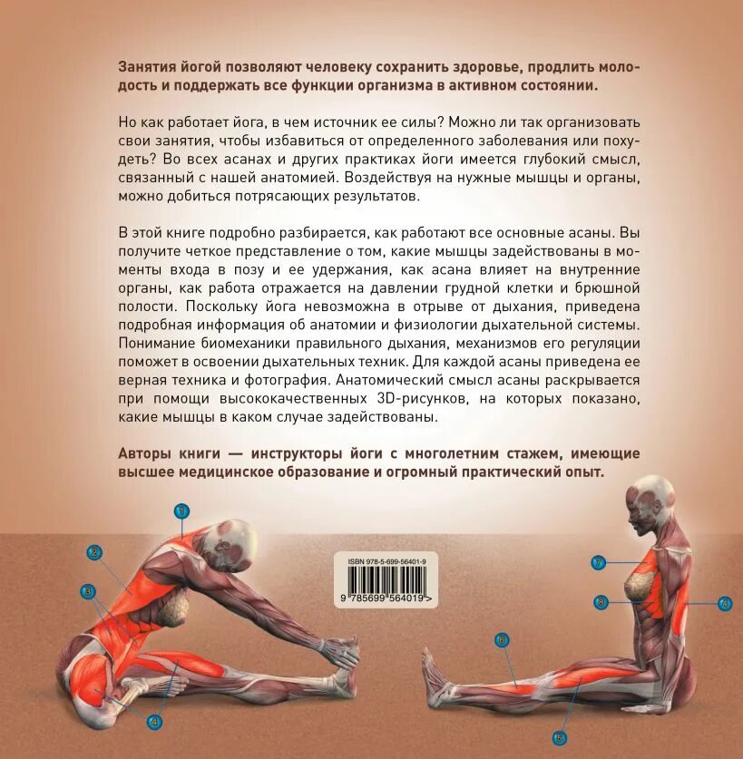 Как работает йога. Андрей фомин йога анатомия. йога какие мышцы работают. асаны йоги и их воздействие на организм. йога как и какие мышцы работают в асанах.