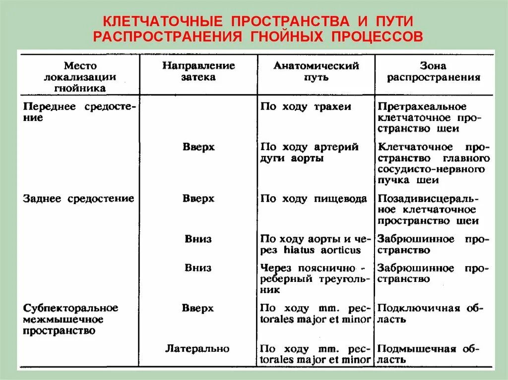 Клетчаточные пространства средостения. Пути распространения гноя из клетчаточных пространств шеи. распространение гнойных процессов. пути распространения гнойного воспаления. пространства шеи пути распространения гноя.