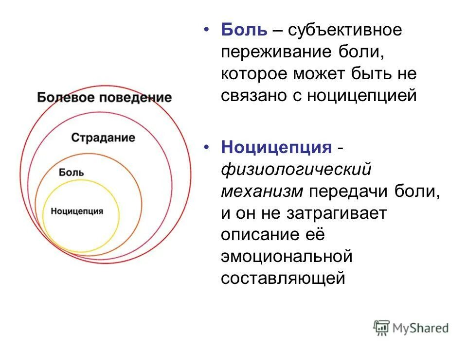 Субъективно боль