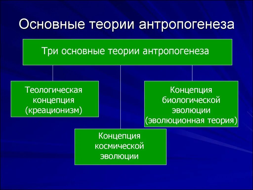 Теории антропогенеза. Основные теории антропогенеза. Основные концепции антропогенеза. Эволюционная концепция антропогенеза.