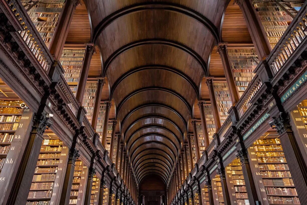 Библиотека хранилище книг. Хранилище книг сложное. Библиотека Тринити-колледжа в Дублине бюсты. Читать книги на литфонде