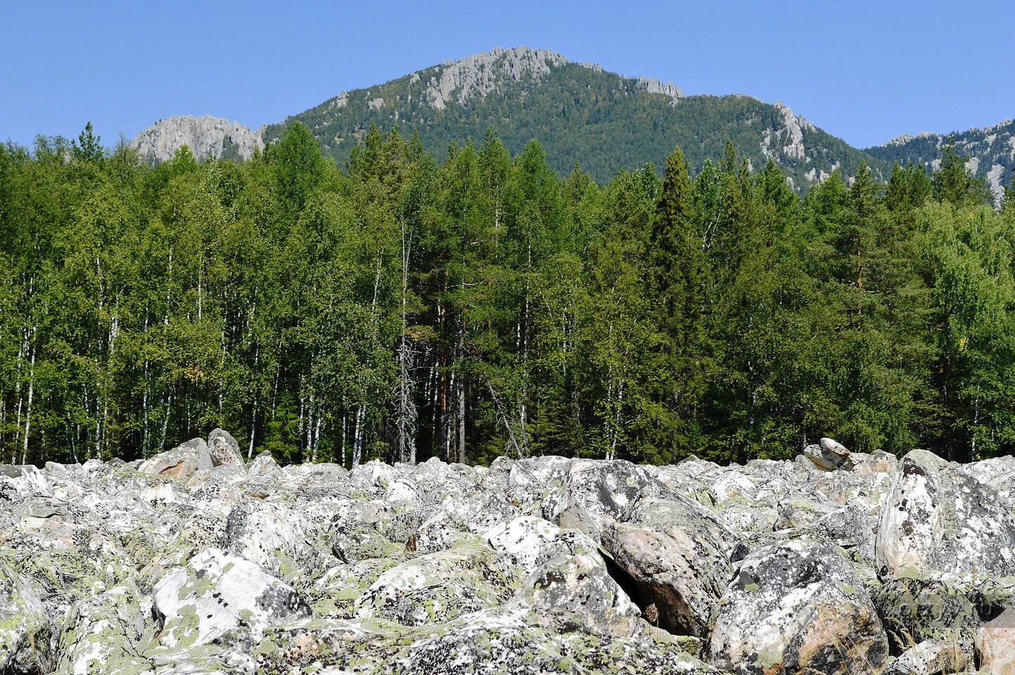 Текущий камень