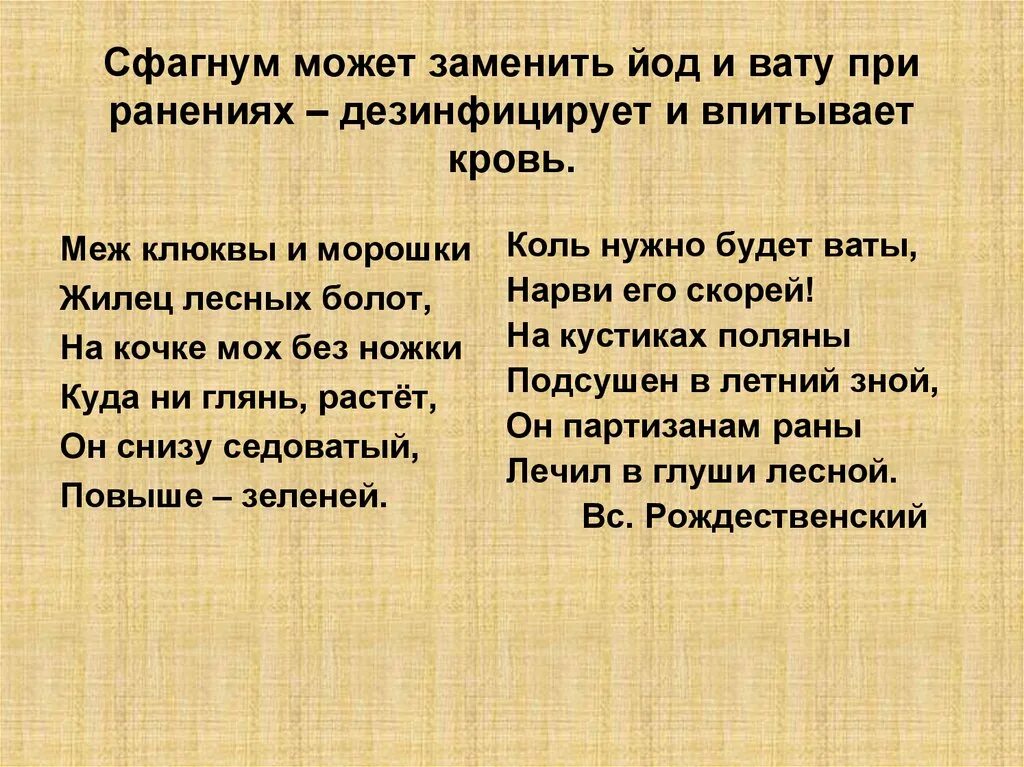 Вместо йода. Меж клюквы и морошки жилец лесных болот на кочке мох. Меж клюквы и морошки жилец лесных болот на кочке мох без ножки ответ. Рождественский средь клюквы. Торфяной мох как йод и вата фото.