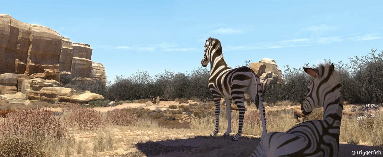 Король сафари. Король сафари. Король сафари мультфильм 2013 кумба. Кумба фанго. Король сафари кумба и томби.