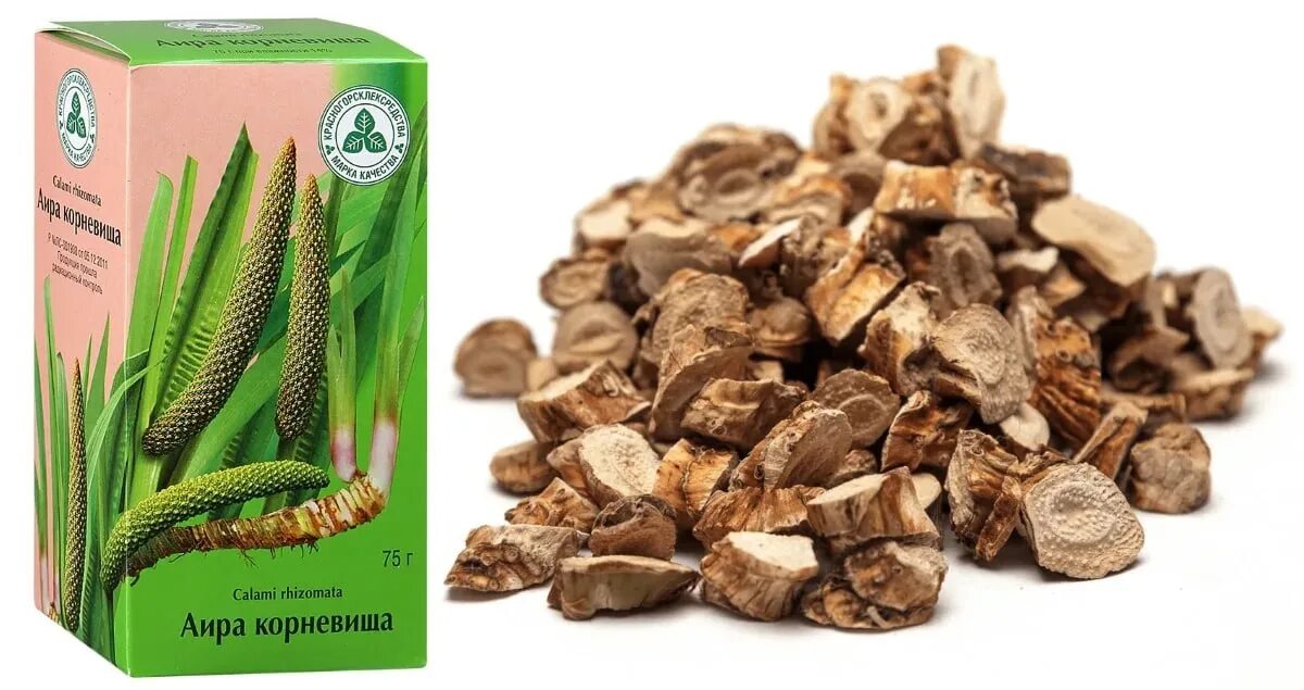 Аир обыкновенный корень. Аир обыкновенный корневища. Аир болотный корневища. Аир болотный корневища. Аир болотный корень.