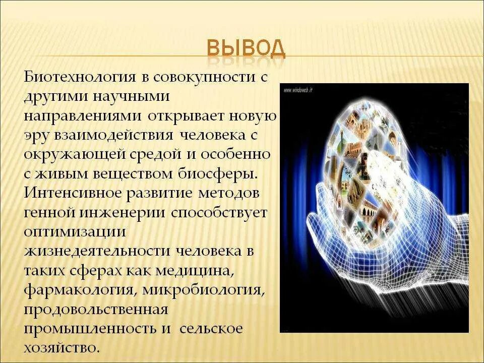 Научные достижения в области пищевых биотехнологий. Биотехнология вывод. Презентация на тему биотехнология. Генная инженерия в биотехнологии. Генная инженерия вывод.