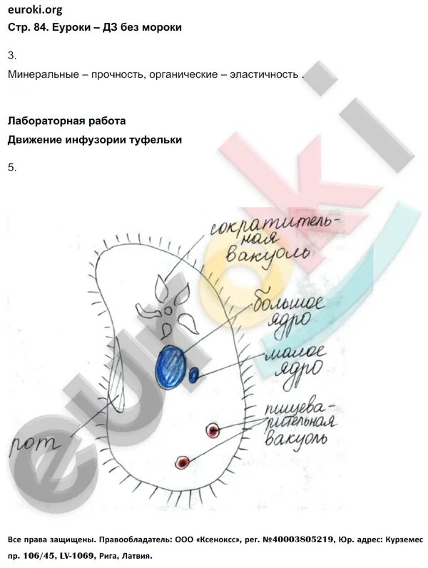 Биология 6 класс учебник с белочкой. Биология 6 класс сонина сонин с белкой. биология 6 класс сонин учебник с белкой. биология 6 класс с белкой. лабораторные работы по биологии 6 класс с ответами сонин.