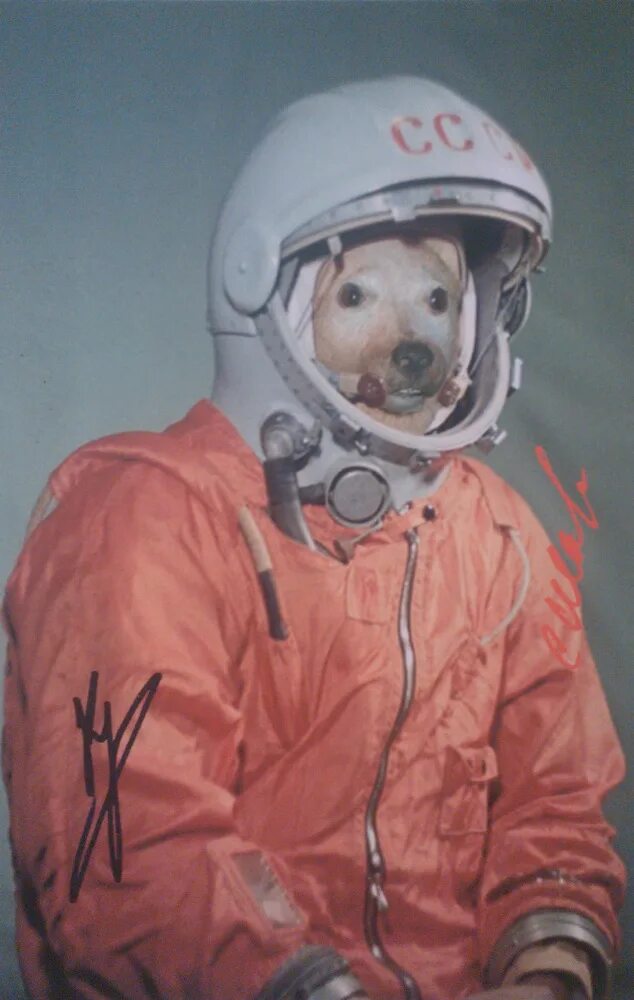 Фото юрия гагарина в скафандре. Костюм Космонавта Юрия Гагарина.