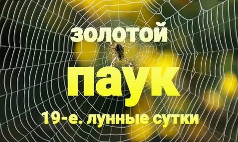 19 октября лунный день