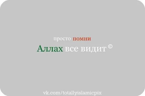 Вижу помню