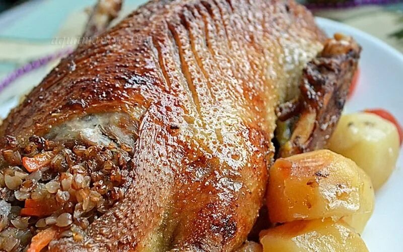 гусь в рукаве в духовке рецепт. гусь в рукаве в духовке рецепт. гусь в рукаве для запекания. фаршированный гусь в духовке. гусь в рукаве в духовке рецепт.