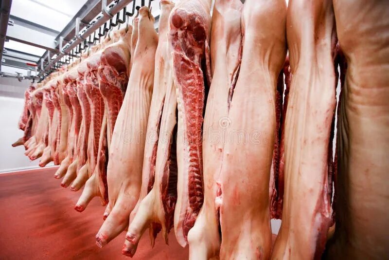 Продукция животноводства. Мясная продукция животноводства. Товары для животноводства. Проект " производство животноводческой продукции". Lot of meat
