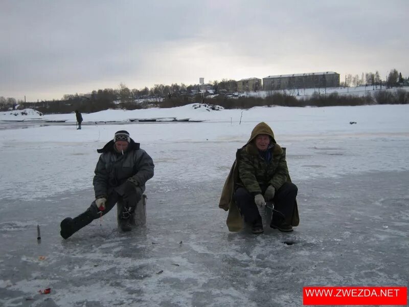 Прогноз погоды в шексне на 10 дней