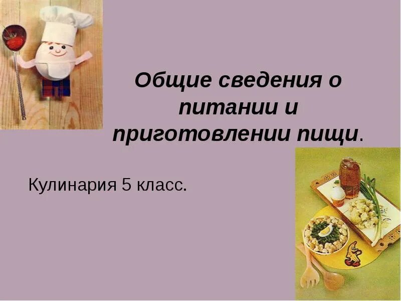 Общее сведение о питании. Общие сведения о питании и приготовлении пищи. урок технологии кулинария. проект на тему кулинария. общие сведения о питании и технологиях приготовления пищи.