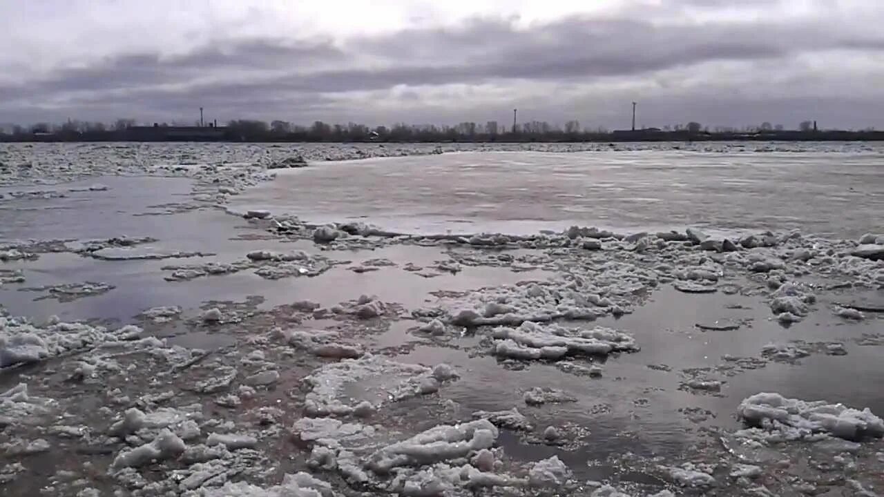 Волга вскрылась и по мутной воде