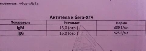 Эли афс хгч