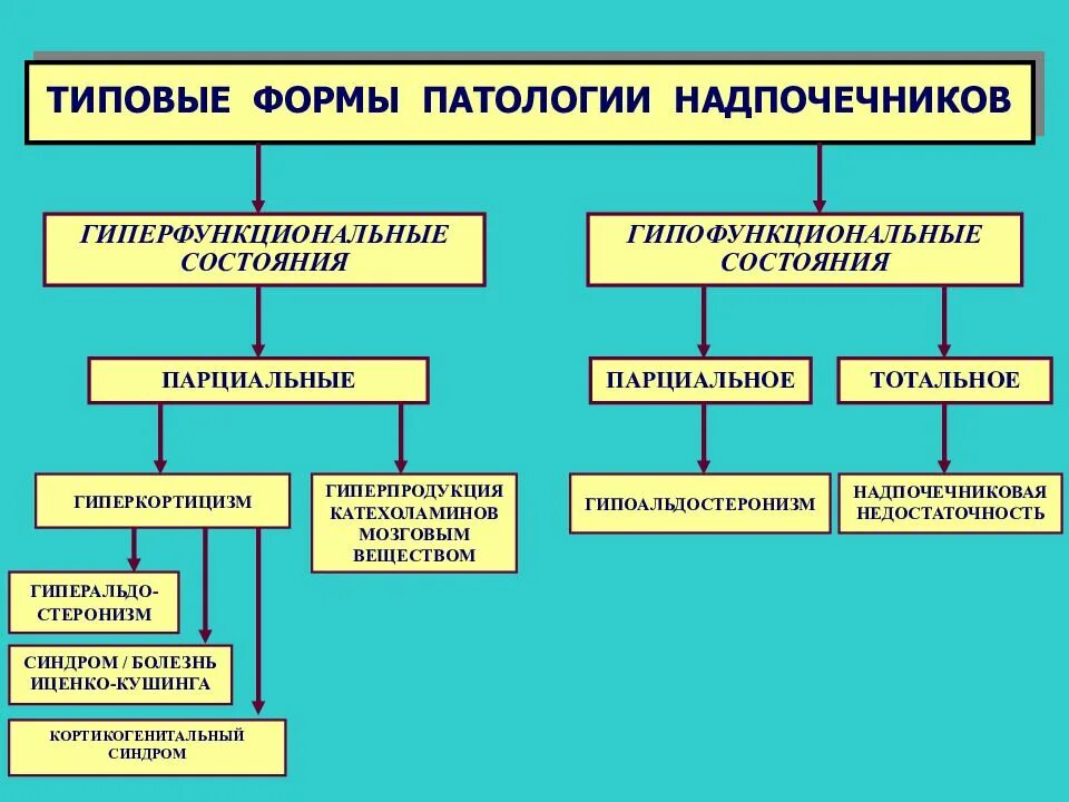 Гиперфункция надпочечников патогенез. Классификация надпочечниковой недостаточности схема. Типовые формы нарушения надпочечников. Типовые формы патологии аденогипофиза. Гиперфункция мозгового вещества надпочечников