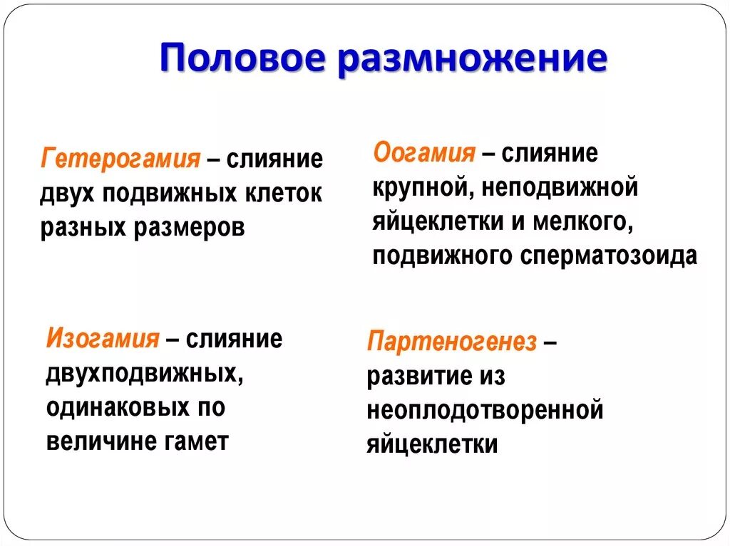 Какие два типа размножения различают в живой. Перечислите основные типы полового размножения. Способы полового размножения биология. Формы полового процесса размножения. Формы полового размножения с примерами.