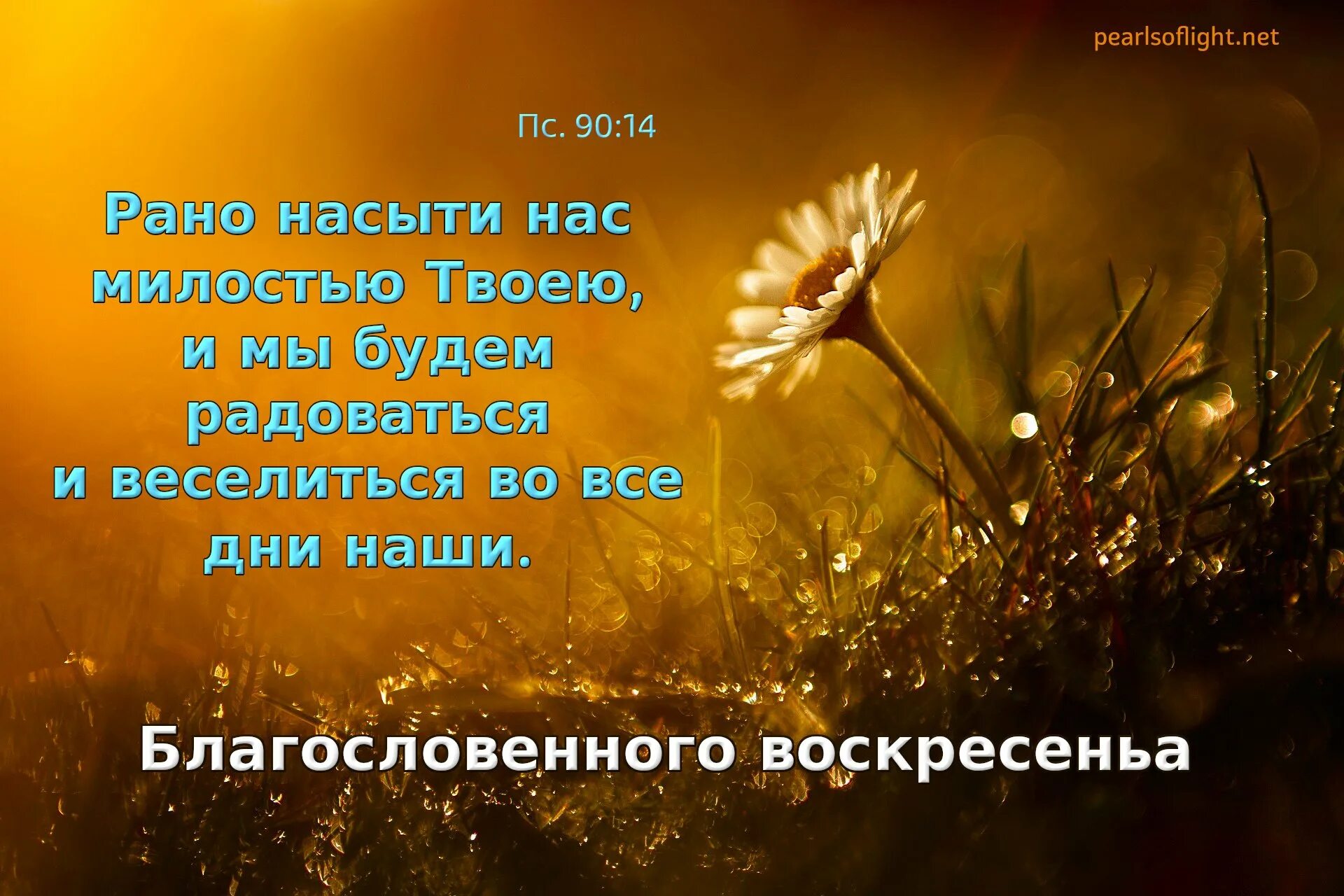 радуйся в господе. радуйтесь в господе. мир доброты и красоты. будем радоваться божьему. радость в господе.