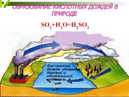 Сернистый газ вызывает кислотные дожди
