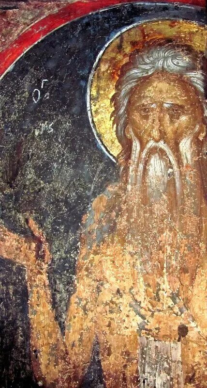Преподобный пустынник. Прп пимен великий фрески. макарий великий фреска ставроникиты. святой пустынник. икона прп. македония сирийского пустынника.