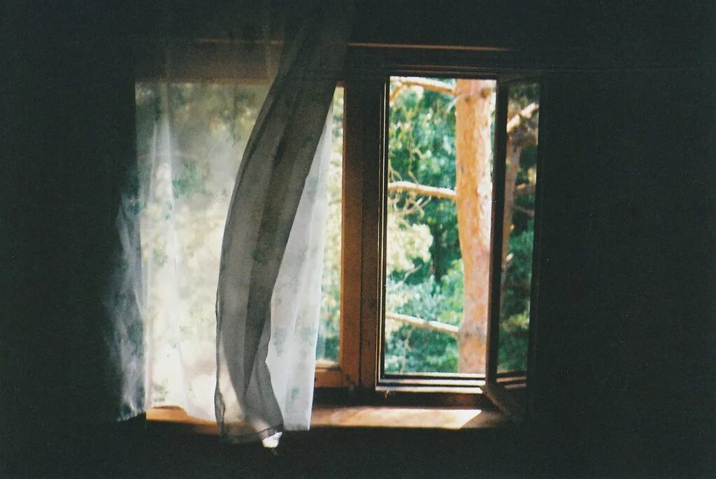 Свежий ветер окна. Открытое окно с занавесками. Деревенские занавески на окна. Занавески на окне живопись. Ветер в окно.