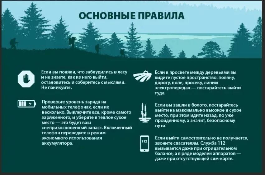 Помощь заблудившимся в лесу. Памятка выживания в лесу. памятка если заблудился в лесу. памятка если вы заблудились в лесу. советы если заблудился в лесу.
