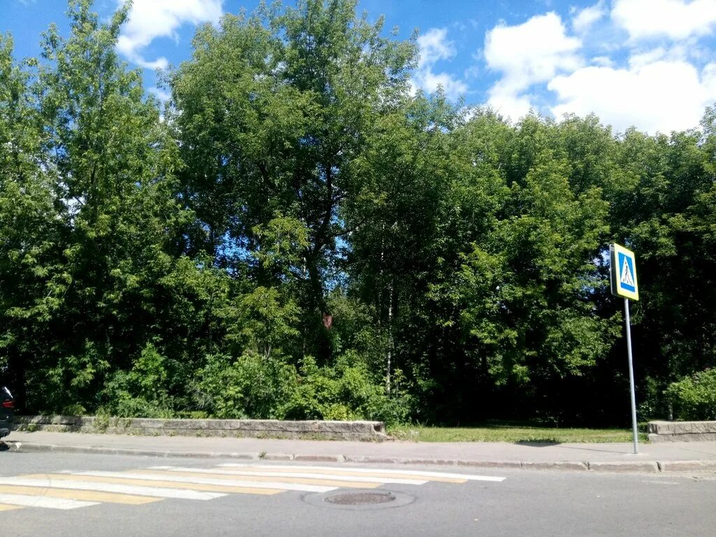 леоновское кладбище. полтевское кладбище балашиха. леоновское кладбище балашиха. леонова. могилы леновского кладбища балашиха.