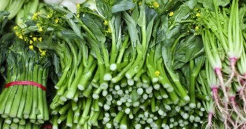 Green vegetable bed