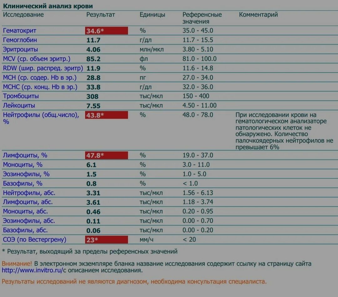 В общем анализе крови повышены. Анализ крови норма в лимфоциты в крови. Показатель MCHC В анализе крови. MCHC В анализе крови норма. Расширенный клинический анализ крови.