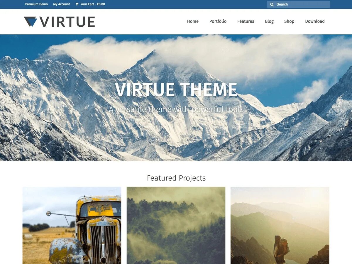 Темы WORDPRESS. Шаблон интернет магазина WORDPRESS. Настройка темы Virtue. Features projects