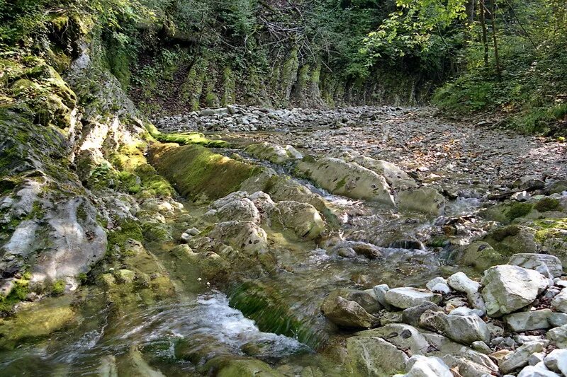 Поверхностные текучие воды. Эрозия текучих вод. Геологическая деятельность реки эрозия. Геологическая работа текучих вод.