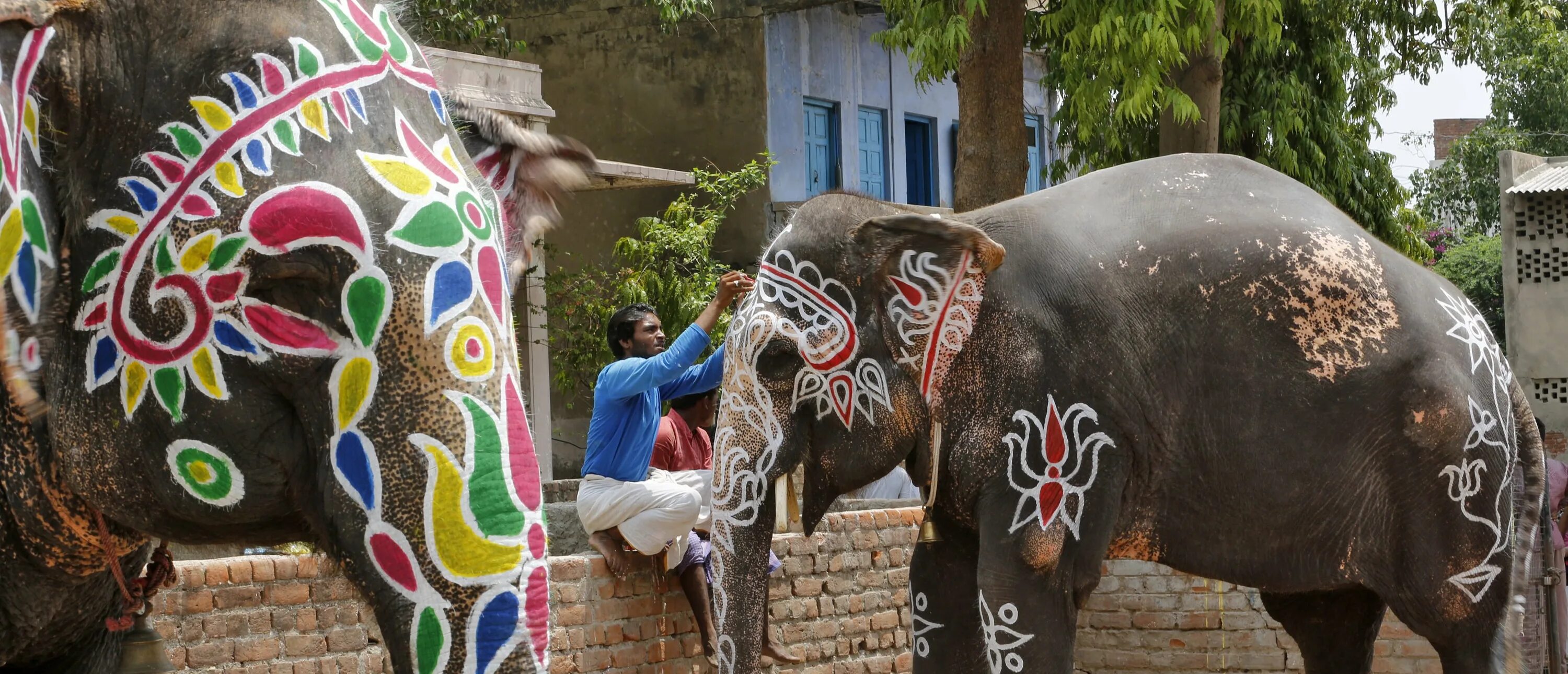 Индия слоны. Индийские слоны разрисованные. Слоны в индийской культуре.