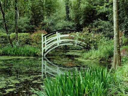Rivers plants