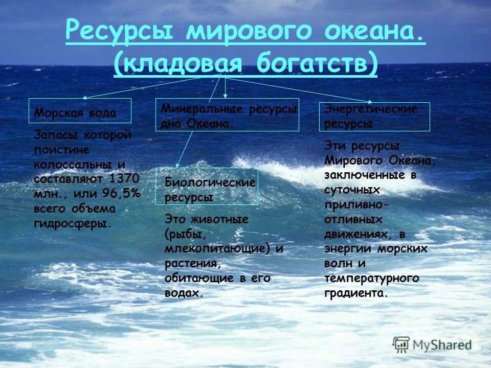Интересные факты о атлантическом океане: размеры и глубина водного объекта, исто