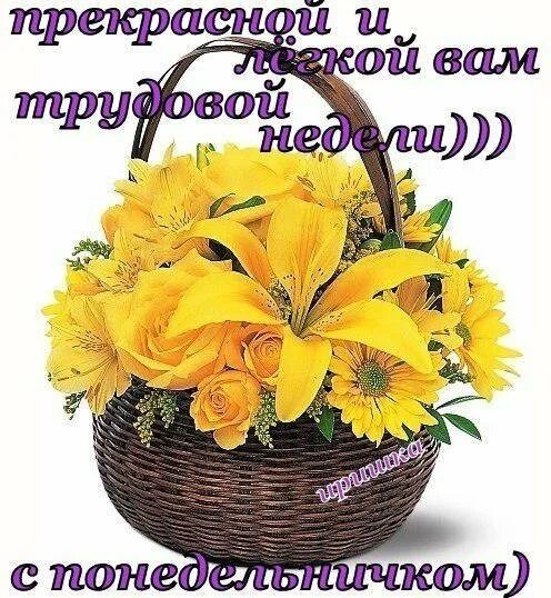Неделя начинается с субботы