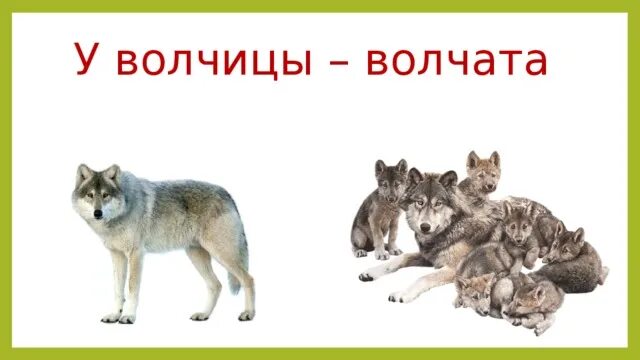 Дикие животные волк для детей. Волчонок для детей. Волчица с волчатами. Волк и Волчонок для детей. На площадке молодняка играли 5