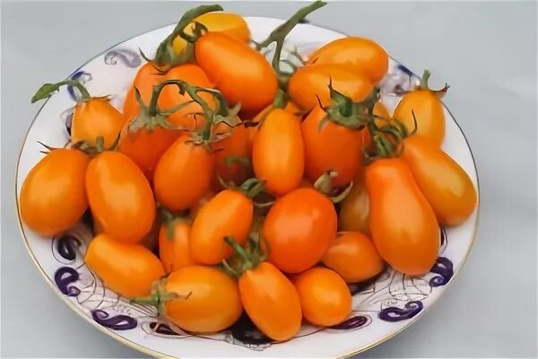 пастила фруктовая яблоко груша. томат черри грушевый апельсин. томат грушевый апельсин. три фрукта. томат апельсиновая груша.