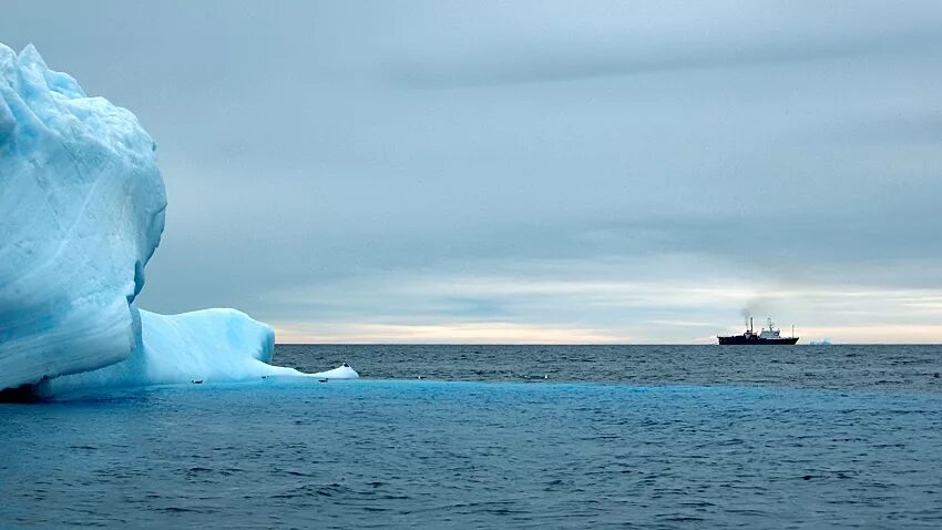 ледокол в море. александр санников ледокол. арктическая акватория. ледяной покров северного ледовитого океана. нэс сомов.