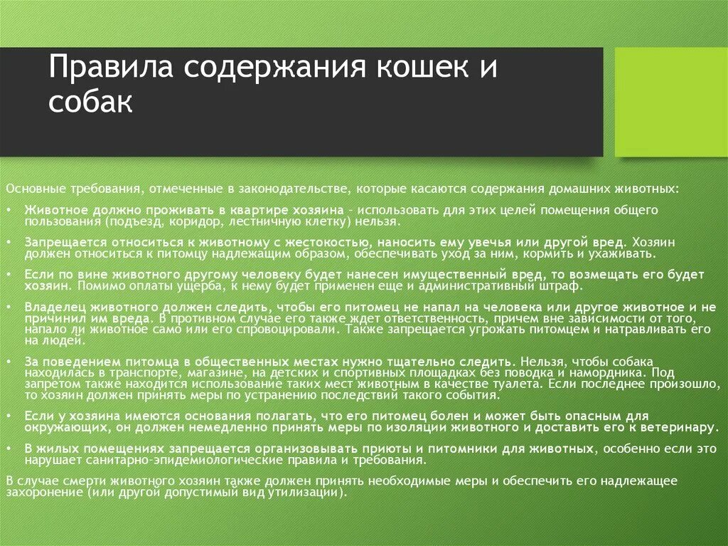 Правила содержания 170. Правила содержания животных. Правила содержания домашнего животного. Правила содержания питомцев. Закон о содержании домашних животных в многоквартирном доме.