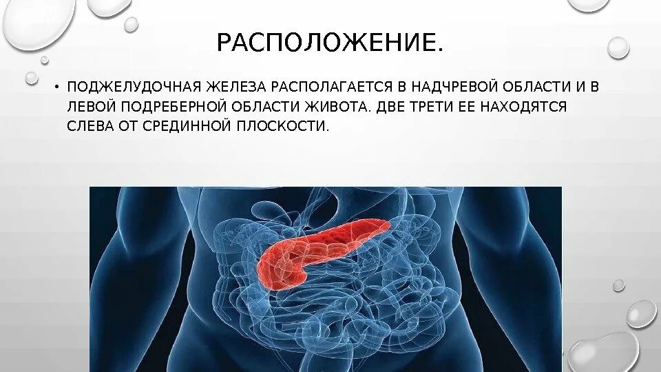 На этом месте растёт текст, но он ещё не созрел.