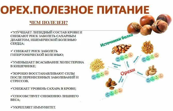 Диабет 2 типа орехи можно. Орехи для диабетиков. Фундук при сахарном диабете. Орехи для диабетиков 2 типа. Сахарный диабет. Грецкие орехи.