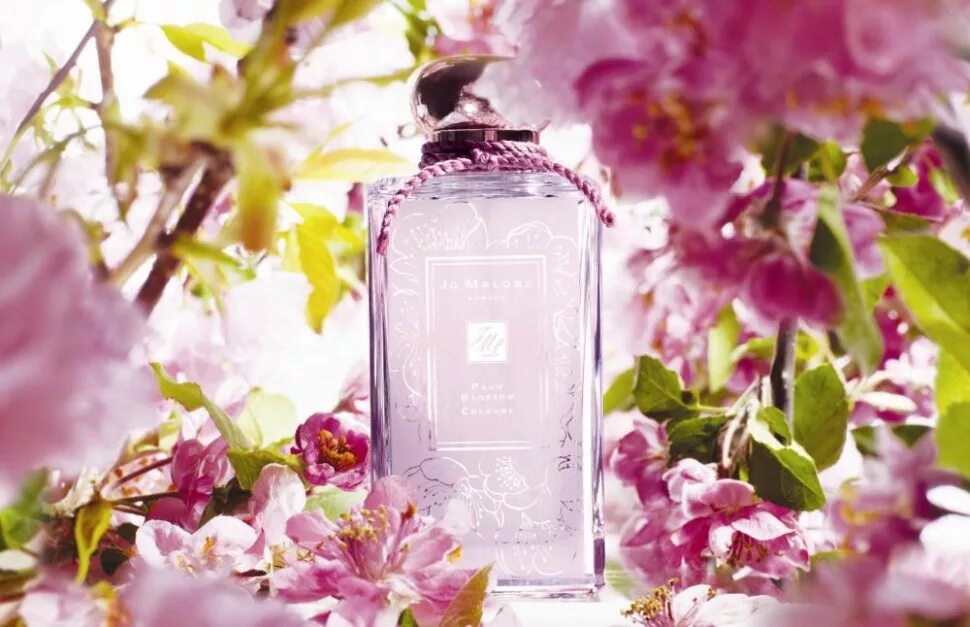 Silk blossom jo. Jo Malone Plum Blossom 100 ml. Джо Малон Сакура черри блоссом. Jo Malone Plum Blossom Cologne. Jo Malone Plum Blossom 2012.