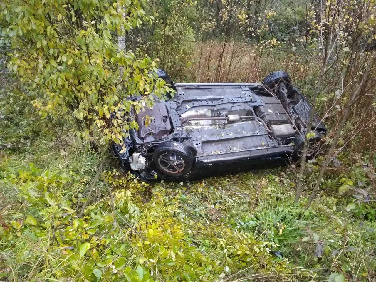 Авария в Ульяновской области Николаевском районе вчера. Kia Ceed в кювете. ДТП Kia Ceed в кювете.