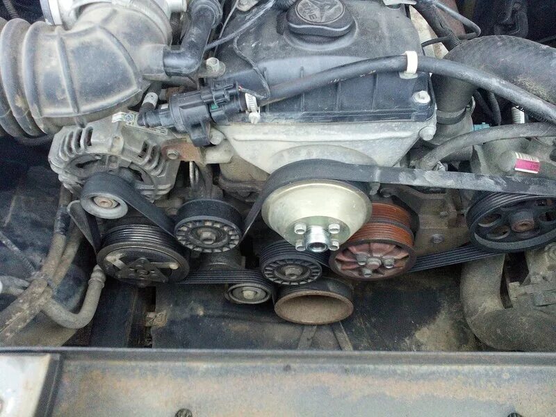 Ремень генератора газель 405 двигатель. Ремень гидроусилителя газель бизнес 4216. Натяжитель ремня змз 405 евро 2. Ремень генератора газель 4216. Ремень генератора газель 406 двигатель.