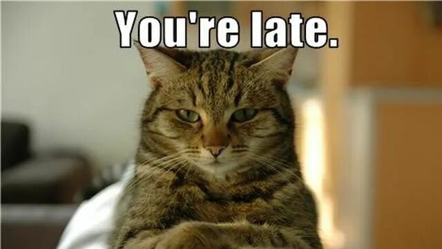It is late i go home. You are late. Being late. You late again. I am late.